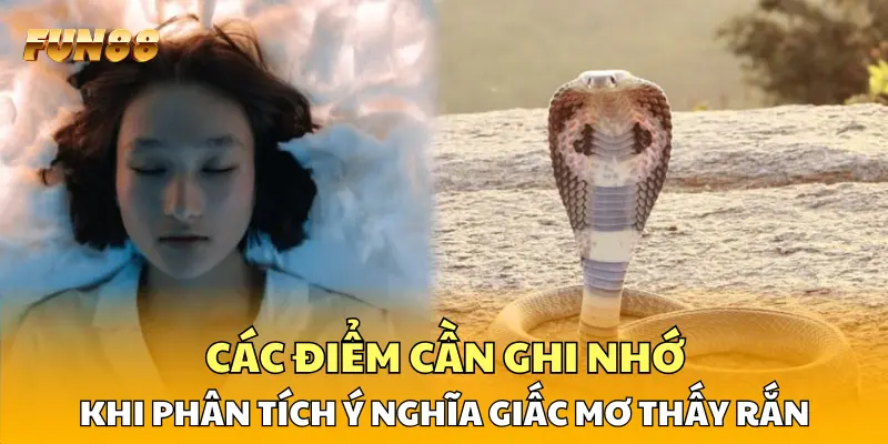 Các điểm cần ghi nhớ khi phân tích ý nghĩa giấc mơ thấy rắn Các điểm cần ghi nhớ khi phân tích ý nghĩa giấc mơ thấy rắn