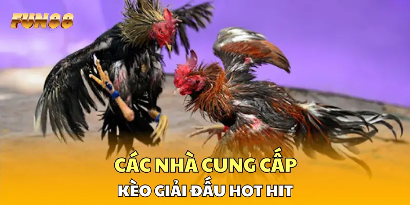 Các nhà cung cấp kèo giải đấu hot hit Các nhà cung cấp kèo giải đấu hot hit