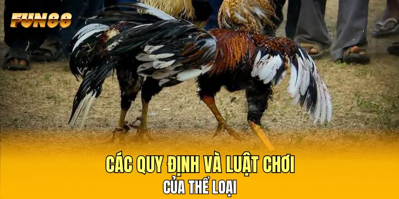 Các quy định và luật chơi của thể loại Các quy định và luật chơi của thể loại