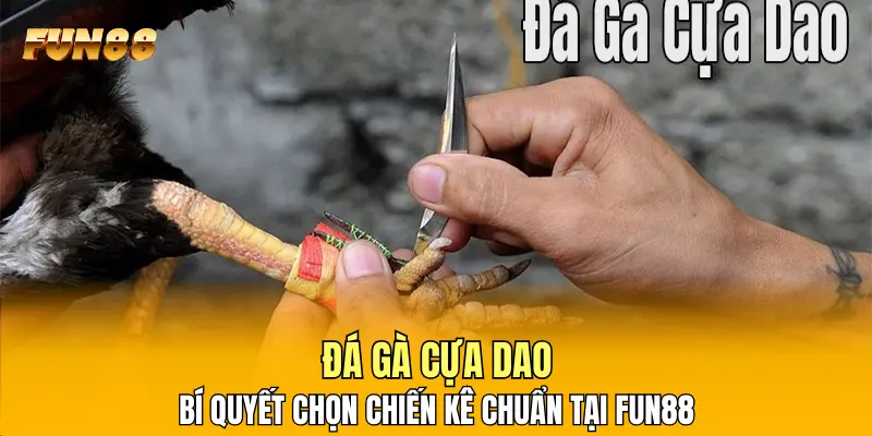 1 Đá Gà Cựa Dao: Bí Quyết Chọn Chiến Kê Chuẩn Tại FUN88 Đá Gà Cựa Dao: Bí Quyết Chọn Chiến Kê Chuẩn Tại FUN88