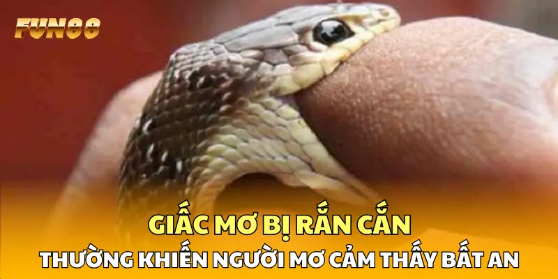 Giấc mơ bị rắn cắn thường khiến người trải nghiệm cảm thấy bất an Giấc mơ bị rắn cắn thường khiến người trải nghiệm cảm thấy bất an