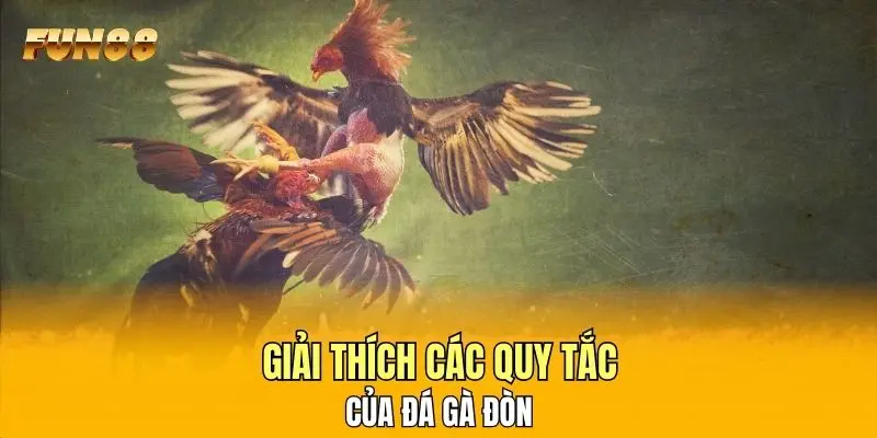 Giải thích các quy tắc của đá gà đòn Giải thích các quy tắc của đá gà đòn
