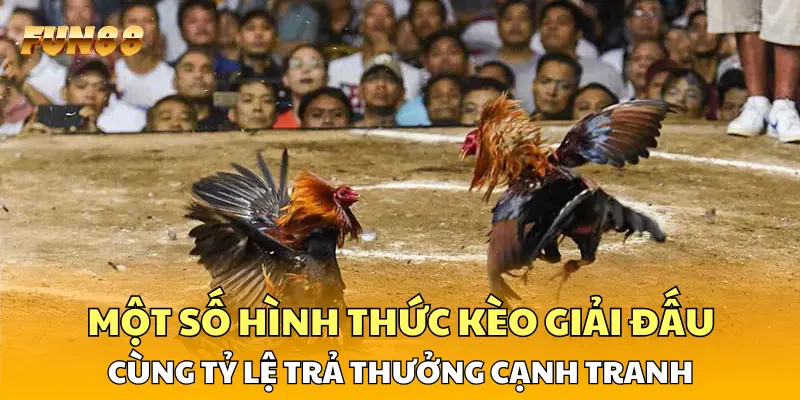 Một số hình thức kèo giải đấu cùng tỷ lệ trả thưởng cạnh tranh Một số hình thức kèo giải đấu cùng tỷ lệ trả thưởng cạnh tranh