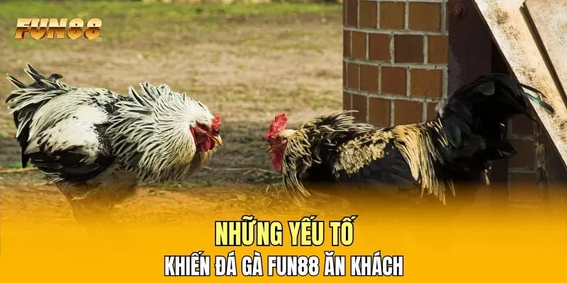 Những yếu tố khiến đá gà FUN88 ăn khách Những yếu tố khiến đá gà FUN88 ăn khách